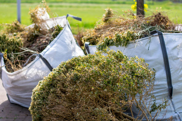 Best Dumpster Rental Services  in New Paris, OH